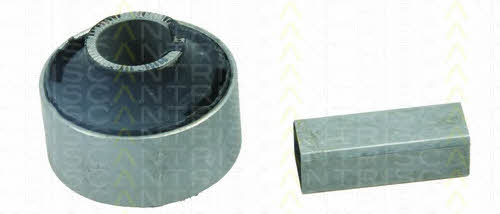 Triscan 8500 13800 Control Arm-/Trailing Arm Bush 850013800: Buy near me in Poland at 2407.PL - Good price!
