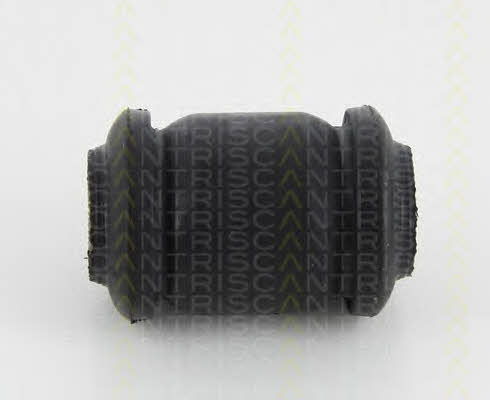 Triscan 8500 13818 Control Arm-/Trailing Arm Bush 850013818: Buy near me in Poland at 2407.PL - Good price!