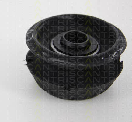 Triscan 8500 13911 Strut bearing with bearing kit 850013911: Buy near me in Poland at 2407.PL - Good price!