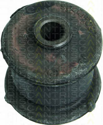 Triscan 8500 24803 Control Arm-/Trailing Arm Bush 850024803: Buy near me in Poland at 2407.PL - Good price!