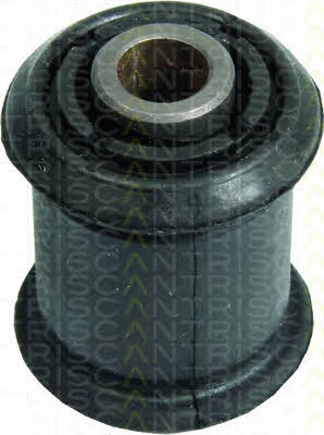 Triscan 8500 24834 Control Arm-/Trailing Arm Bush 850024834: Buy near me in Poland at 2407.PL - Good price!