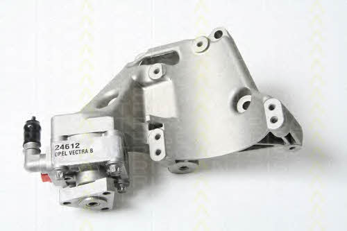 Triscan 8515 24615 Hydraulic Pump, steering system 851524615: Buy near me in Poland at 2407.PL - Good price!