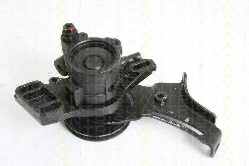 Triscan 8515 25607 Hydraulic Pump, steering system 851525607: Buy near me in Poland at 2407.PL - Good price!