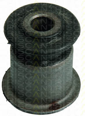 Triscan 8500 29879 Silent block front lower arm front 850029879: Buy near me in Poland at 2407.PL - Good price!