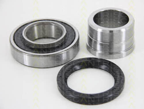 Triscan 8530 69212 Wheel bearing kit 853069212: Buy near me in Poland at 2407.PL - Good price!