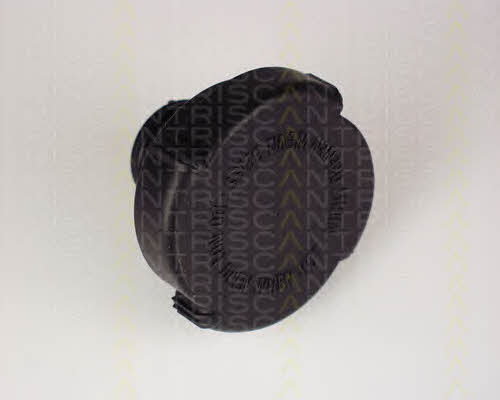 Triscan 8610 21 Radiator caps 861021: Buy near me at 2407.PL in Poland at an Affordable price!