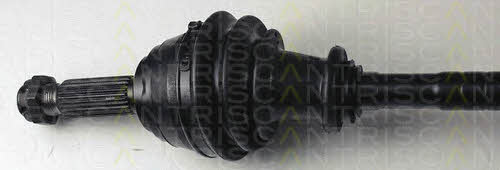 Triscan 8540 42508 Drive shaft 854042508: Buy near me in Poland at 2407.PL - Good price!