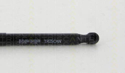 Triscan 8710 11128 Gas hood spring 871011128: Buy near me in Poland at 2407.PL - Good price!