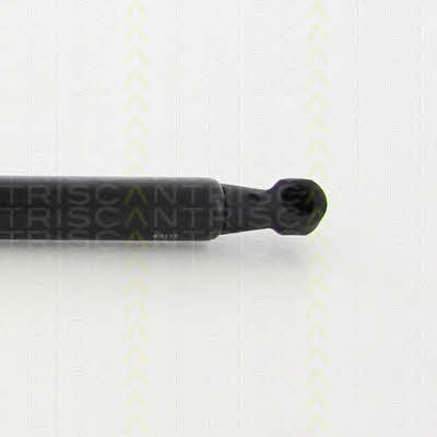 Triscan 8710 28106 Gas hood spring 871028106: Buy near me in Poland at 2407.PL - Good price!