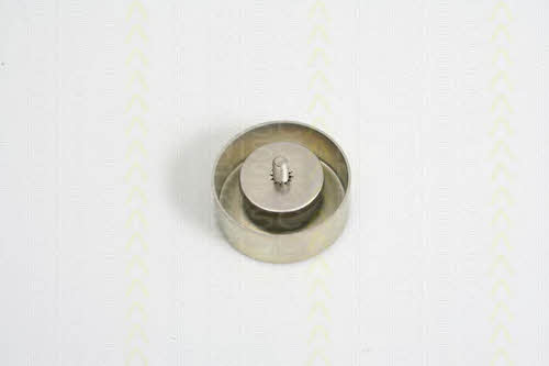 Triscan 8641 112011 Idler Pulley 8641112011: Buy near me in Poland at 2407.PL - Good price!