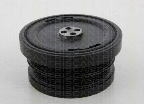 Triscan 8643 11004 Pulley crankshaft 864311004: Buy near me at 2407.PL in Poland at an Affordable price!