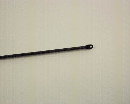 Triscan 8710 1004 Gas hood spring 87101004: Buy near me in Poland at 2407.PL - Good price!