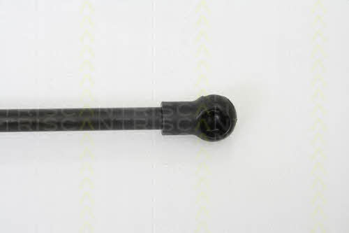 Triscan 8710 10100 Gas hood spring 871010100: Buy near me in Poland at 2407.PL - Good price!