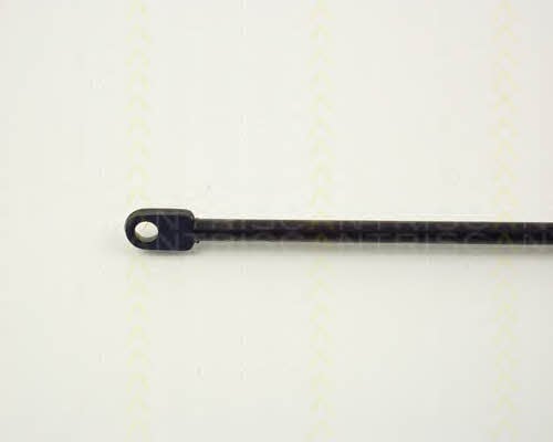 Triscan 8710 1011 Gas hood spring 87101011: Buy near me in Poland at 2407.PL - Good price!