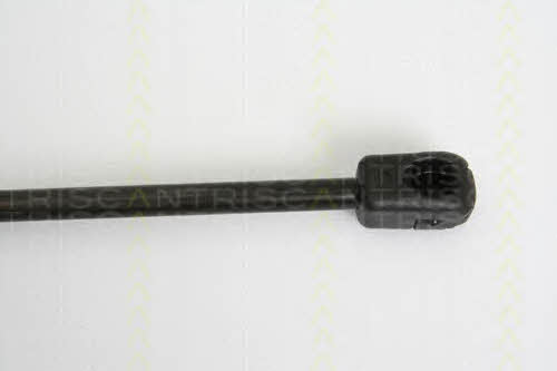 Triscan 8710 10207 Gas Spring, boot-/cargo area 871010207: Buy near me in Poland at 2407.PL - Good price!