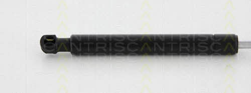 Triscan 8710 11119 Gas hood spring 871011119: Buy near me in Poland at 2407.PL - Good price!