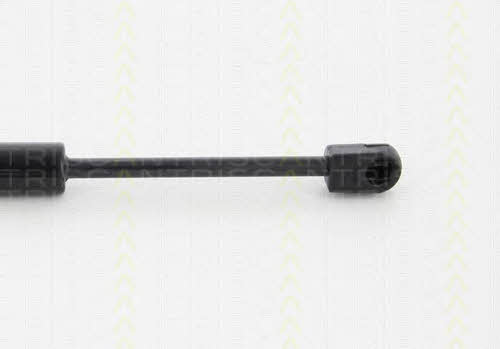 Triscan 8710 11125 Gas hood spring 871011125: Buy near me in Poland at 2407.PL - Good price!