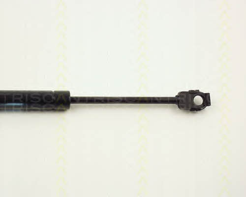 Triscan 8710 1113 Gas hood spring 87101113: Buy near me in Poland at 2407.PL - Good price!