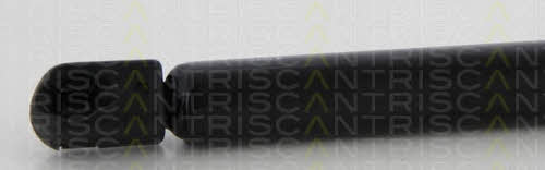 Пружина газовая капота Triscan 8710 11130