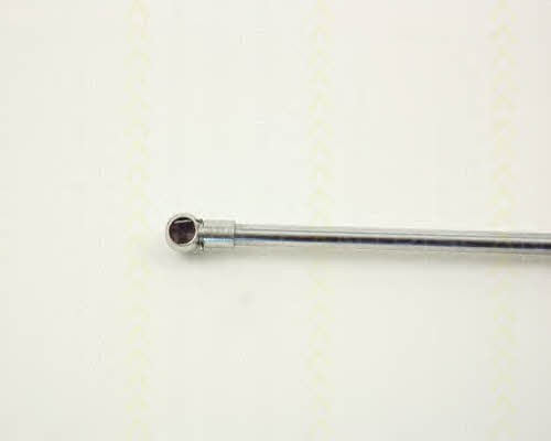 Triscan 8710 12102 Gas hood spring 871012102: Buy near me in Poland at 2407.PL - Good price!