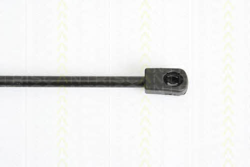 Triscan 8710 12104 Gas hood spring 871012104: Buy near me in Poland at 2407.PL - Good price!