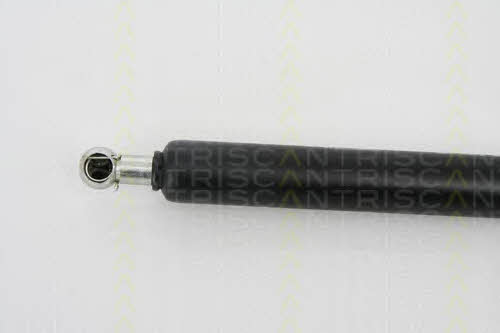 Gas Spring, boot-&#x2F;cargo area Triscan 8710 25230