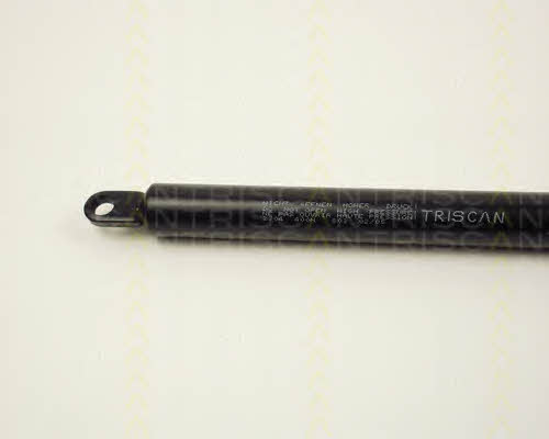 Triscan 8710 2704 Gas Spring, boot-/cargo area 87102704: Buy near me in Poland at 2407.PL - Good price!