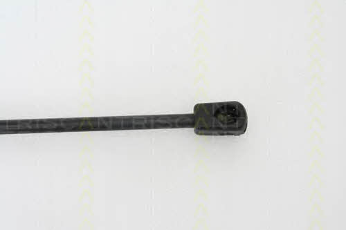 Triscan 8710 27105 Gas hood spring 871027105: Buy near me in Poland at 2407.PL - Good price!