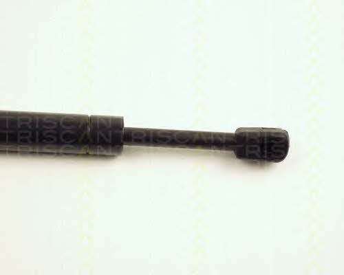 Triscan 8710 28101 Gas hood spring 871028101: Buy near me in Poland at 2407.PL - Good price!