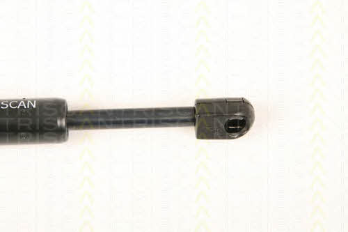 Triscan 8710 28105 Gas hood spring 871028105: Buy near me in Poland at 2407.PL - Good price!