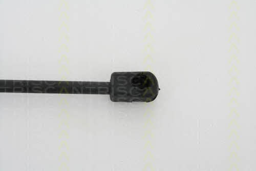 Triscan 8710 28228 Spring gas rear window 871028228: Buy near me in Poland at 2407.PL - Good price!