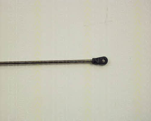 Triscan 8710 29105 Gas hood spring 871029105: Buy near me in Poland at 2407.PL - Good price!