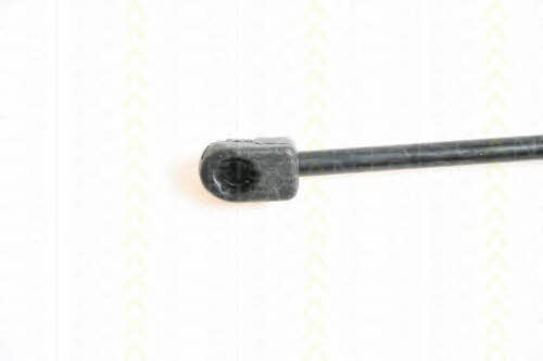 Triscan 8710 29112 Gas hood spring 871029112: Buy near me in Poland at 2407.PL - Good price!