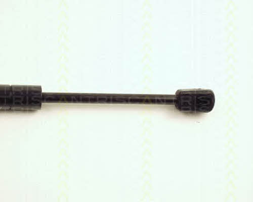 Triscan 8710 29113 Gas hood spring 871029113: Buy near me in Poland at 2407.PL - Good price!