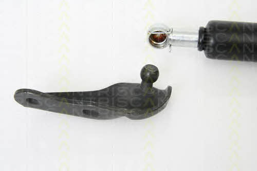 Gas Spring, boot-&#x2F;cargo area Triscan 8710 13265