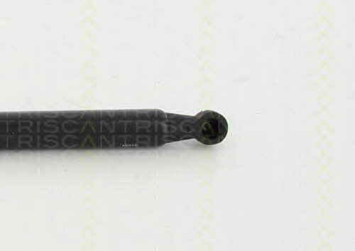 Triscan 8710 13281 Gas Spring, boot-/cargo area 871013281: Buy near me in Poland at 2407.PL - Good price!