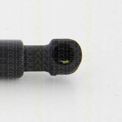 Triscan 8710 14251 Gas Spring, boot-/cargo area 871014251: Buy near me in Poland at 2407.PL - Good price!
