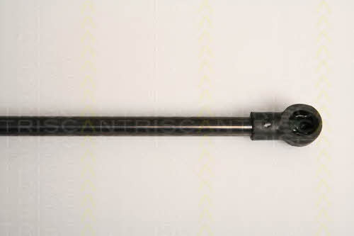 Triscan 8710 15241 Gas Spring, boot-/cargo area 871015241: Buy near me in Poland at 2407.PL - Good price!