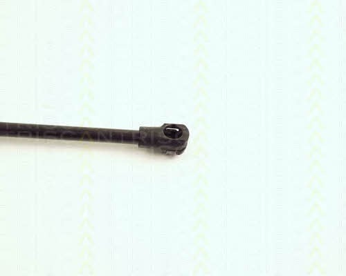 Triscan 8710 16234 Gas Spring, boot-/cargo area 871016234: Buy near me in Poland at 2407.PL - Good price!