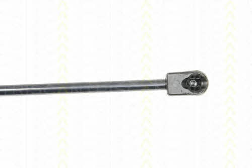 Triscan 8710 16251 Spring gas rear window 871016251: Buy near me in Poland at 2407.PL - Good price!