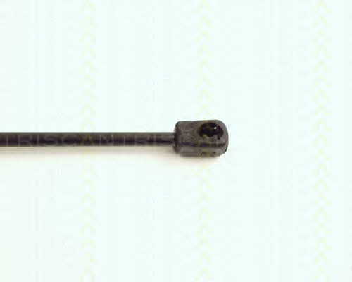 Triscan 8710 17101 Gas hood spring 871017101: Buy near me in Poland at 2407.PL - Good price!