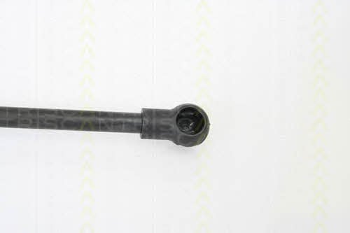 Triscan 8710 18100 Gas hood spring 871018100: Buy near me in Poland at 2407.PL - Good price!