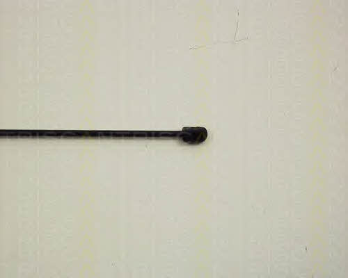 Triscan 8710 29117 Gas hood spring 871029117: Buy near me in Poland at 2407.PL - Good price!