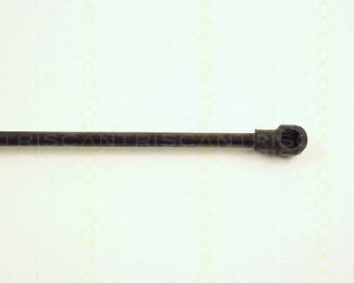Triscan 8710 29118 Gas hood spring 871029118: Buy near me in Poland at 2407.PL - Good price!