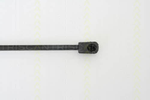 Triscan 8710 29120 Gas hood spring 871029120: Buy near me in Poland at 2407.PL - Good price!