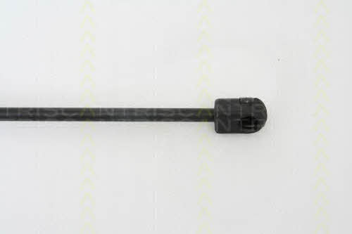 Triscan 8710 29123 Gas hood spring 871029123: Buy near me in Poland at 2407.PL - Good price!