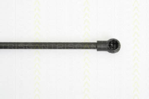 Triscan 8710 29124 Gas hood spring 871029124: Buy near me in Poland at 2407.PL - Good price!