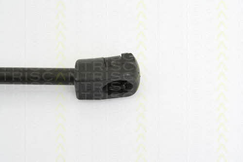 Triscan 8710 29125 Gas hood spring 871029125: Buy near me in Poland at 2407.PL - Good price!