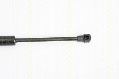 Triscan 8710 29128 Gas hood spring 871029128: Buy near me in Poland at 2407.PL - Good price!