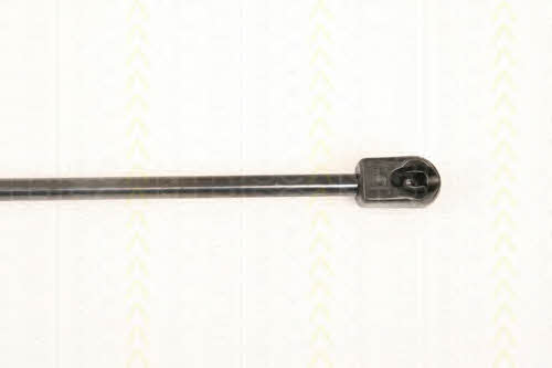 Triscan 8710 29132 Gas hood spring 871029132: Buy near me at 2407.PL in Poland at an Affordable price!